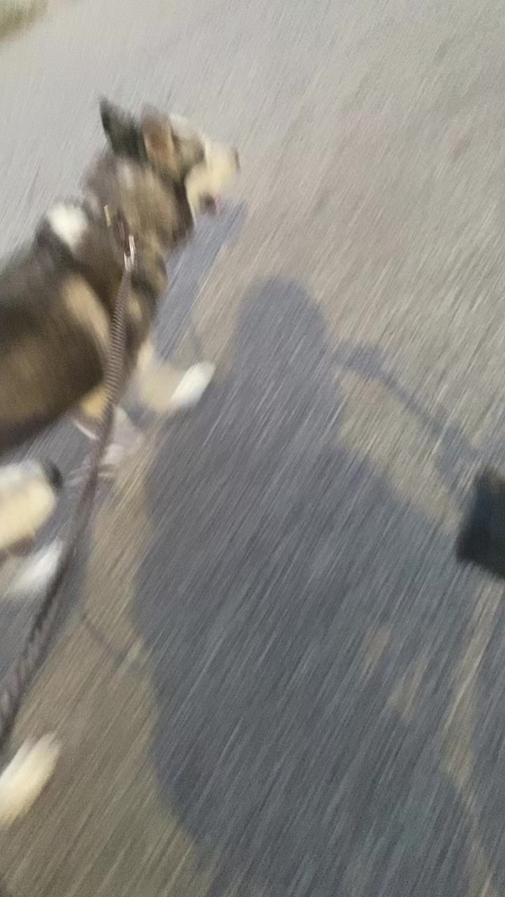 @Neli Káli, 🥰
