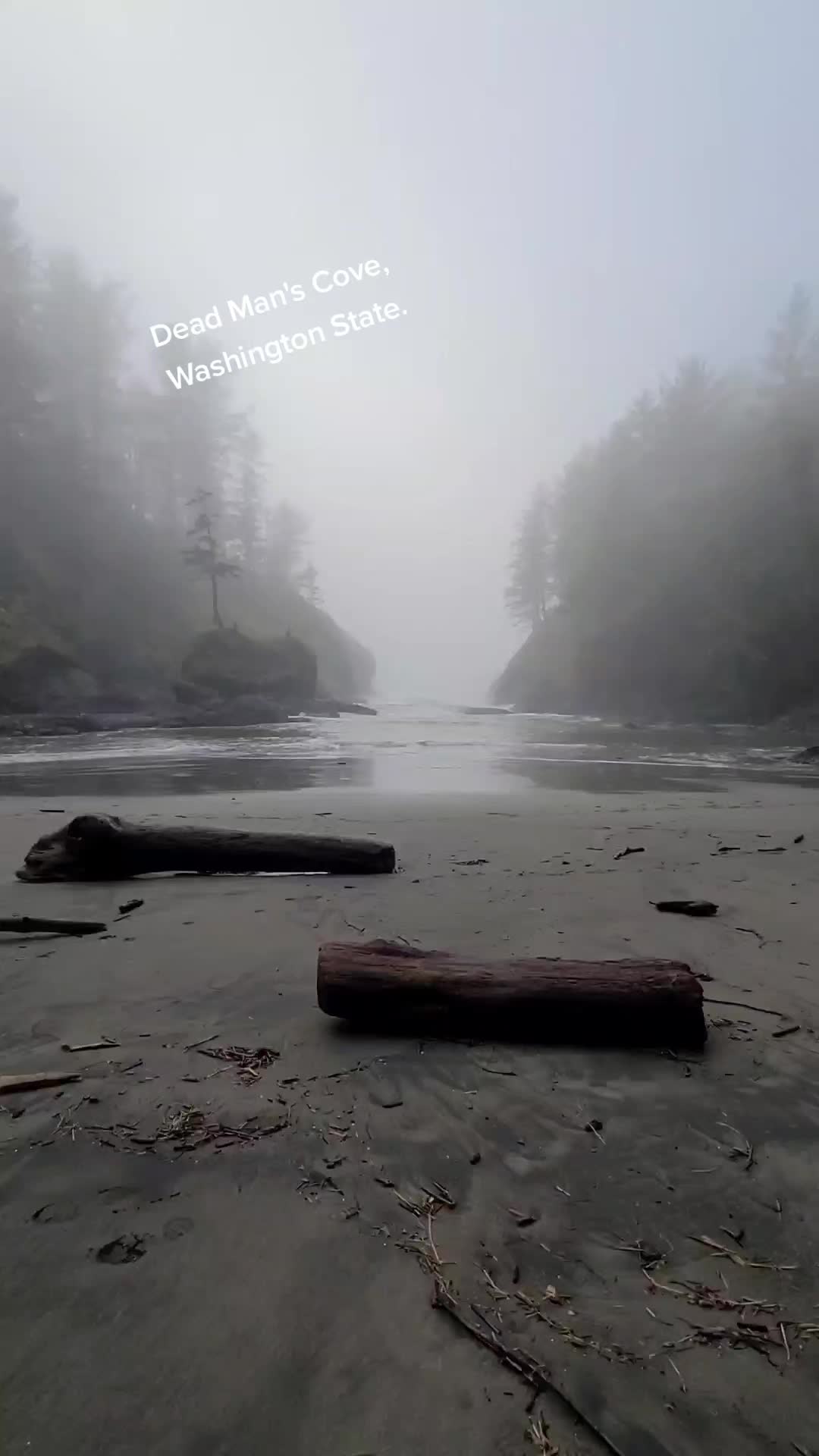 @MuckySquirrel❌️