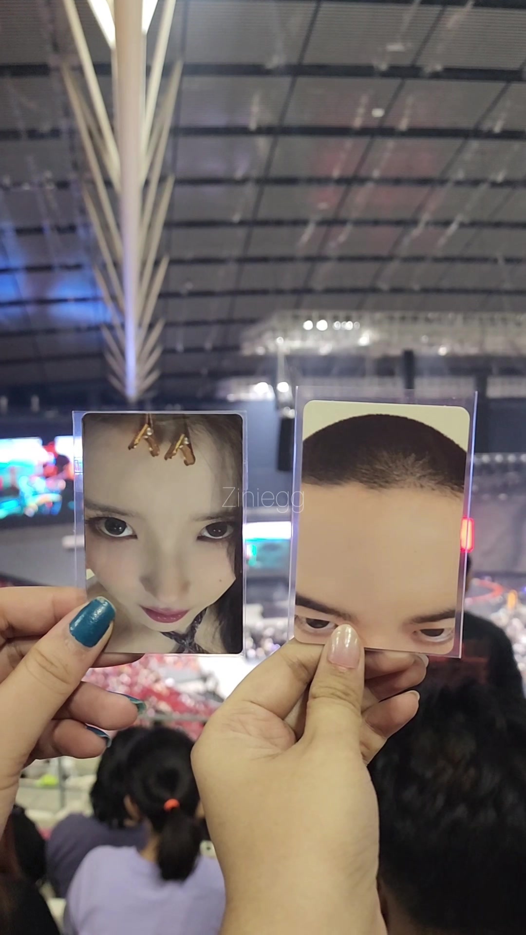 @ziniegg