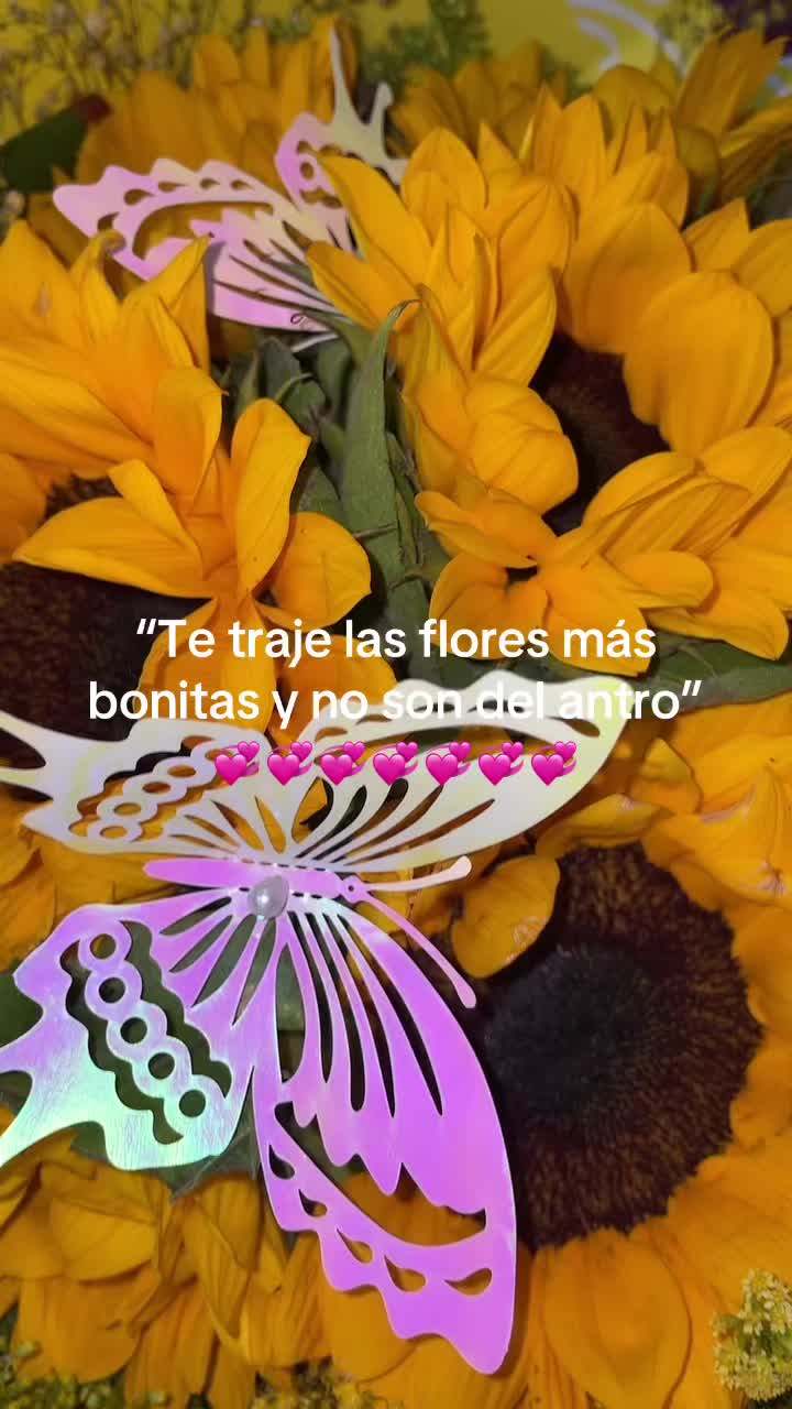 @Alesita 🪩🫧