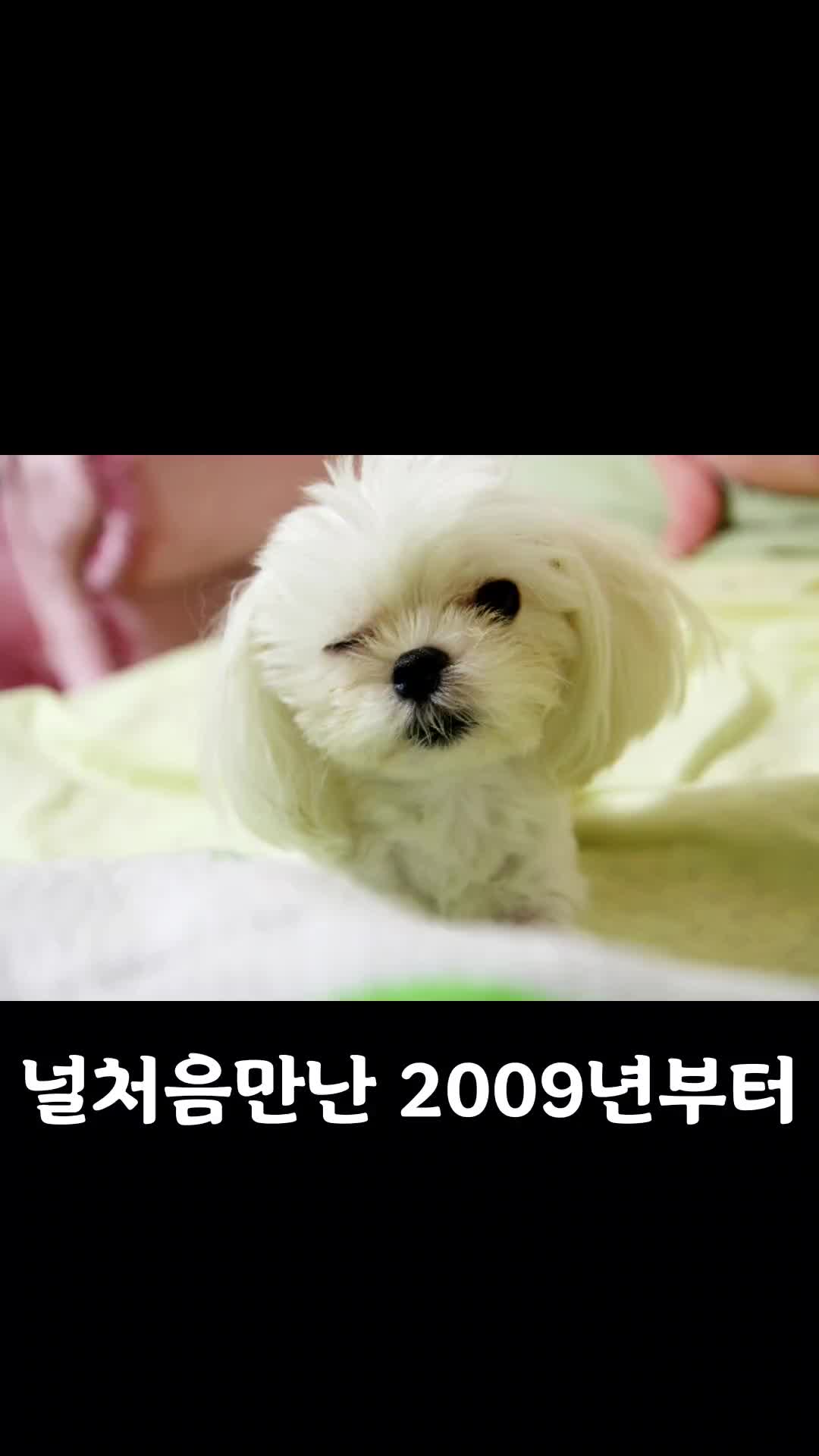 @초롱맘
