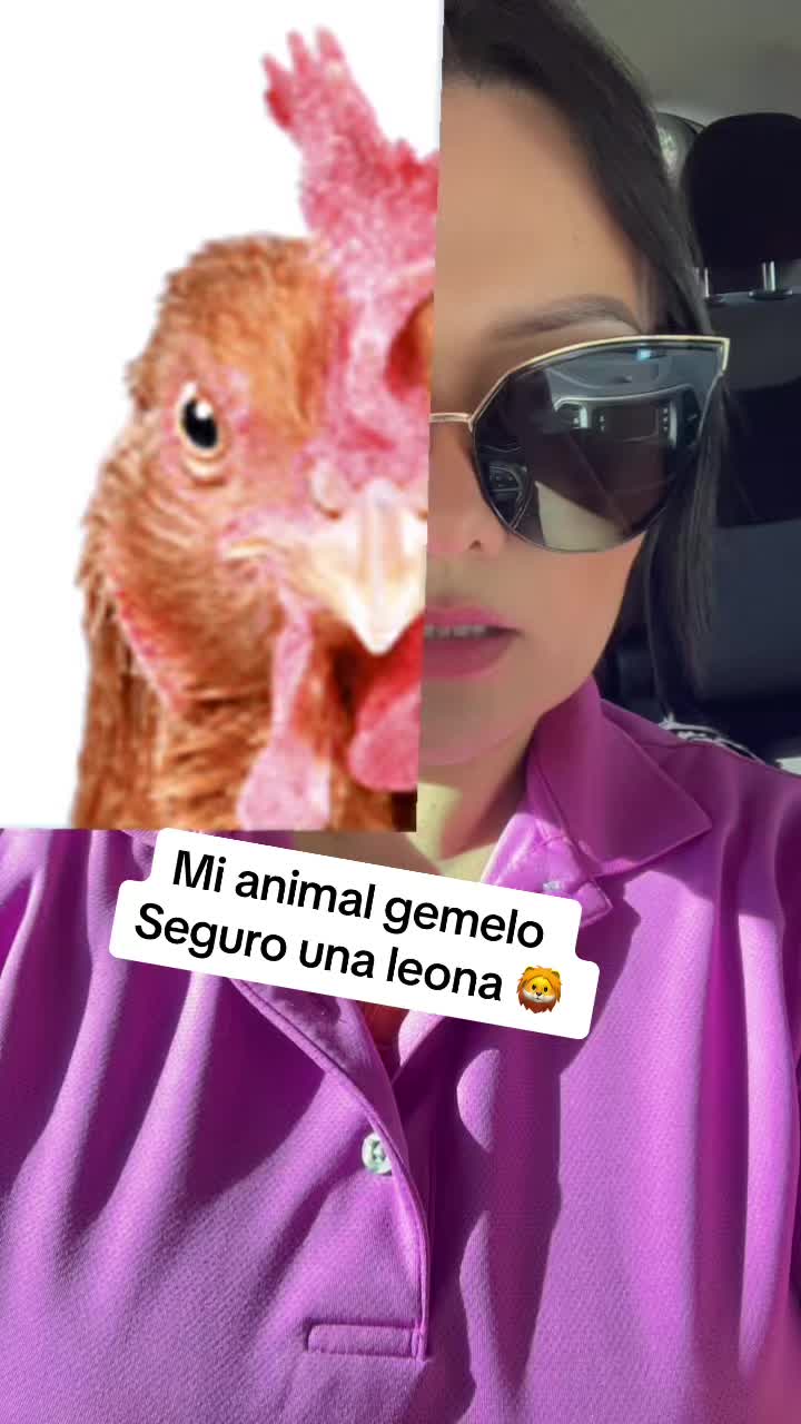 @ara_mm8