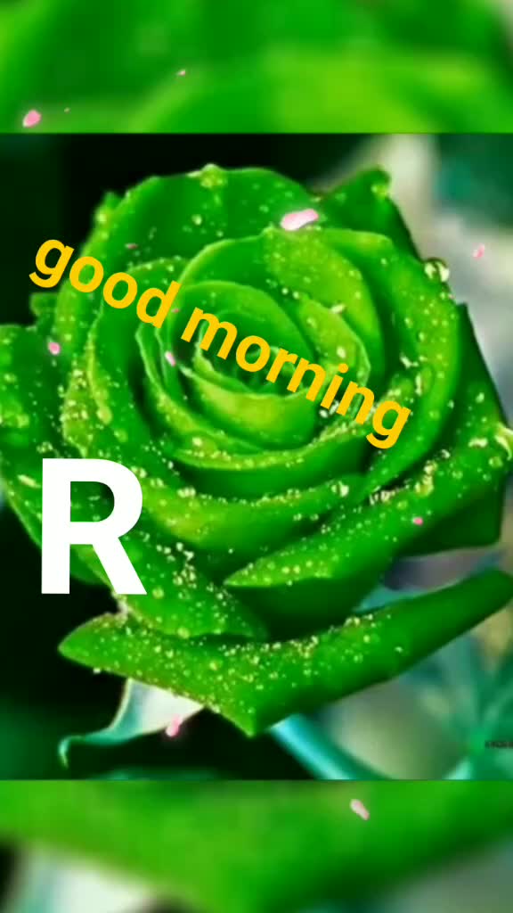 @Rina Bhadra