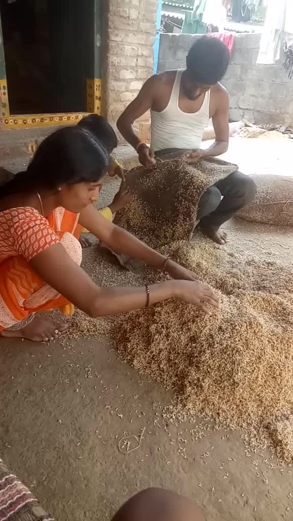 @balaji