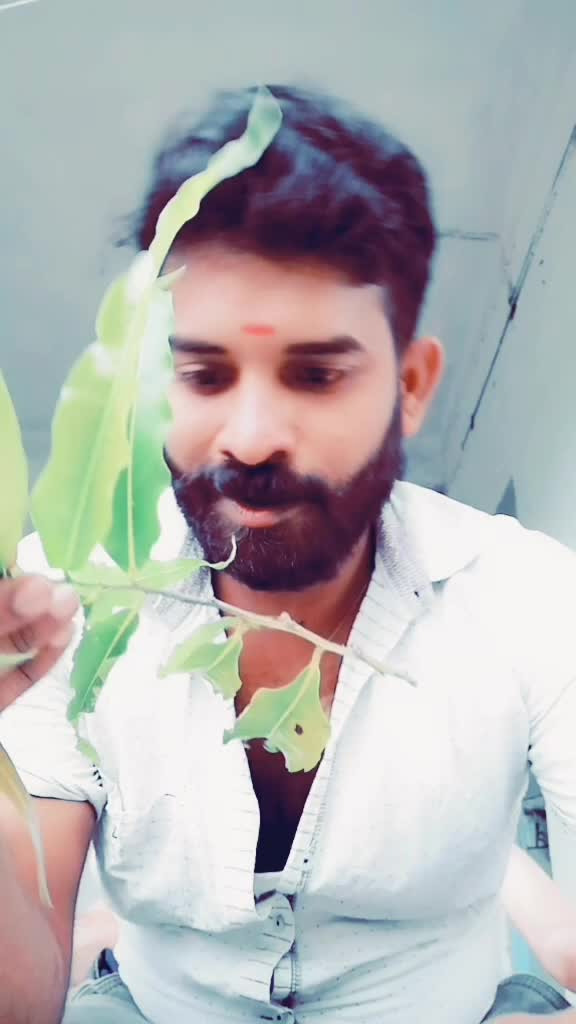 @AGN Fan of KGF