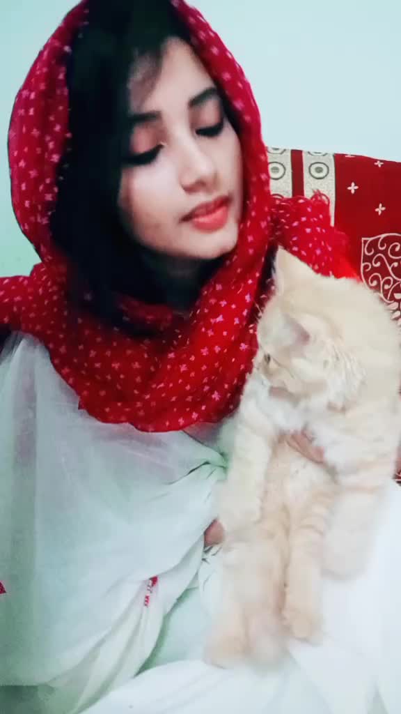 @♥️--Shifa aichu--♥️