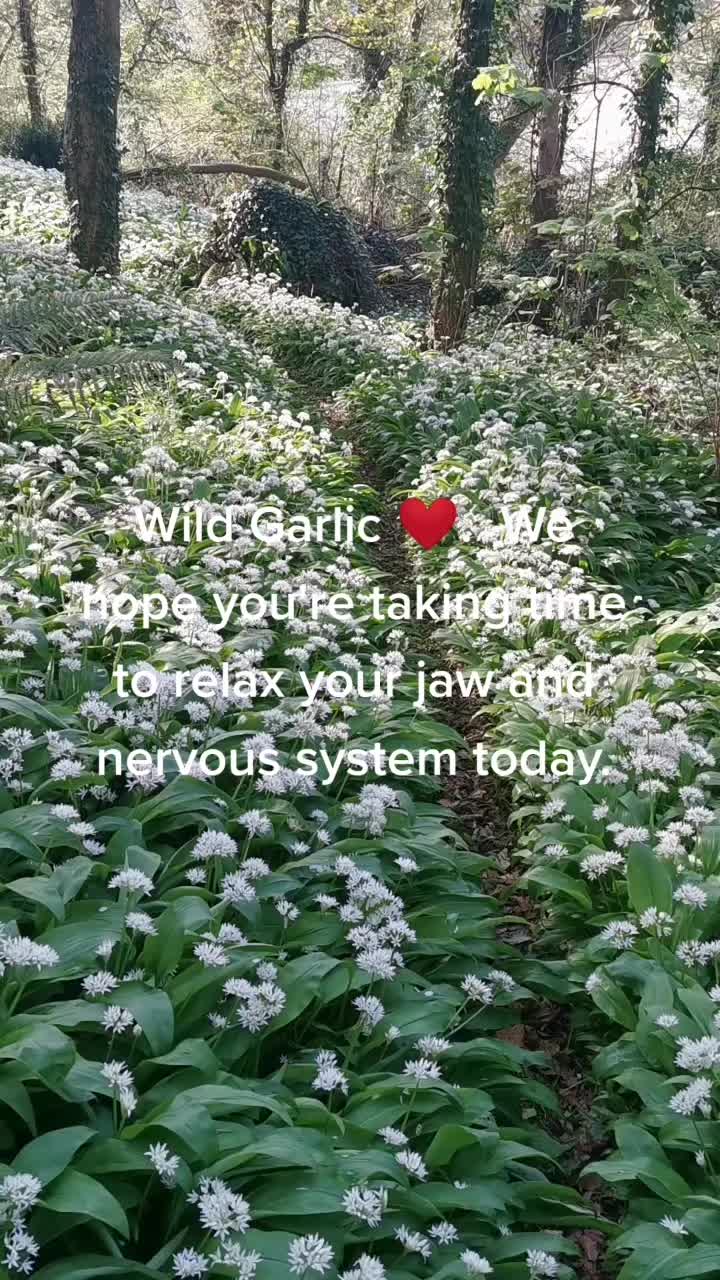 @JawYoga_Kieferfreund