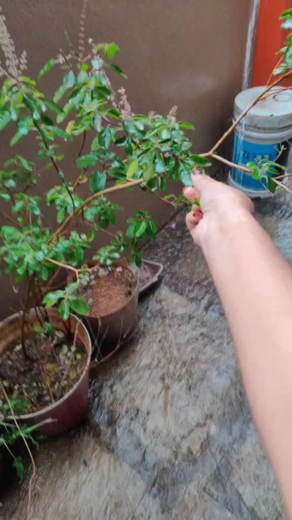 @HeenaRaiOfficial