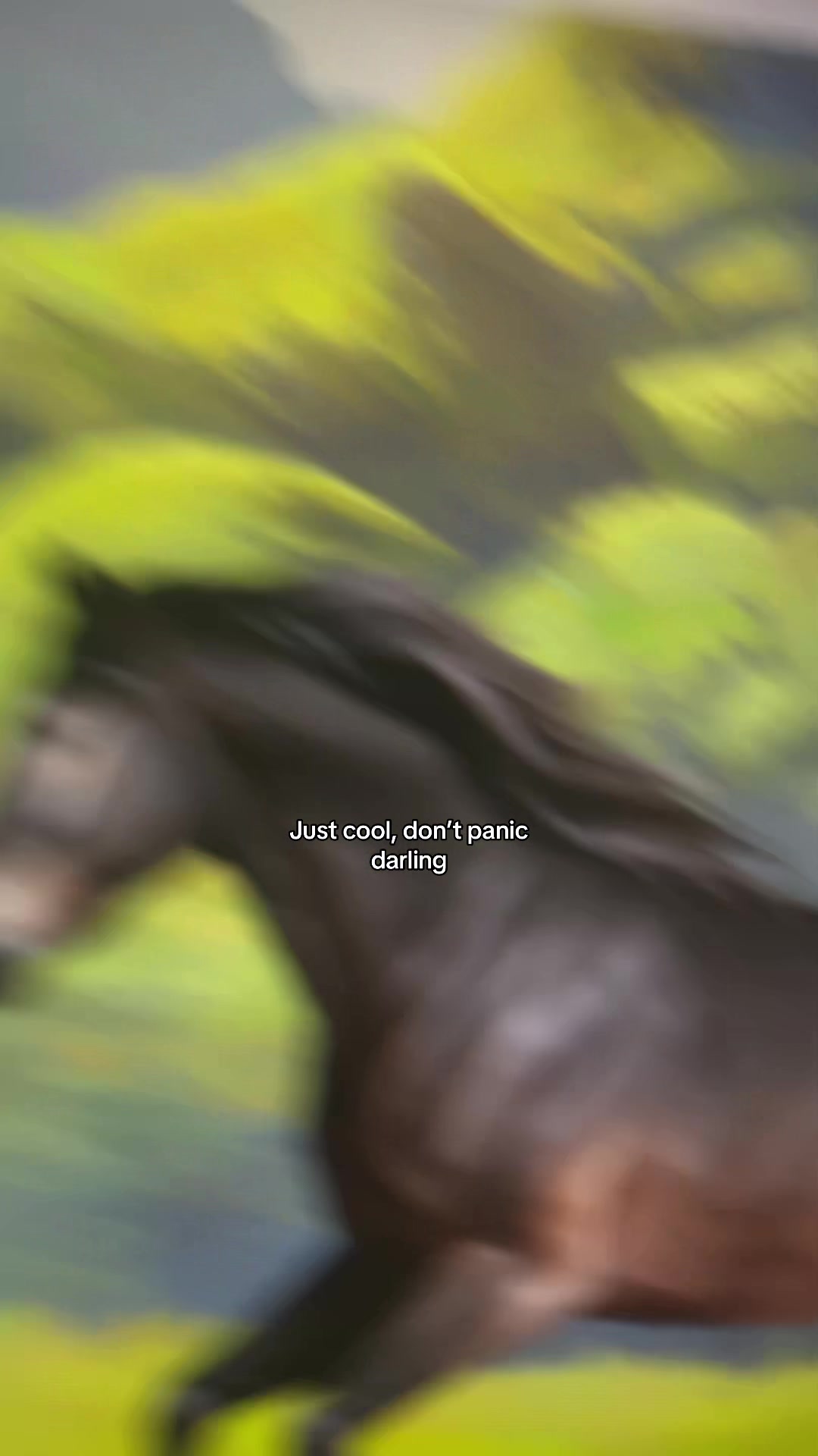 @￼&ensp;recommendations