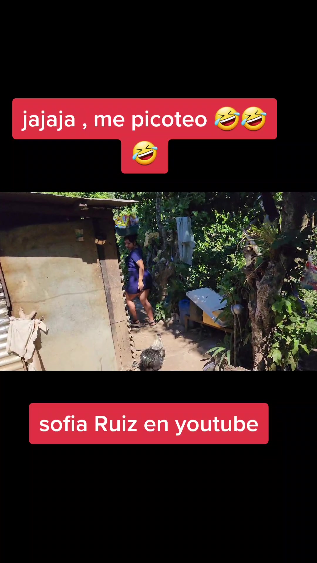@Sofia Ruiz🦋 🦋🦋