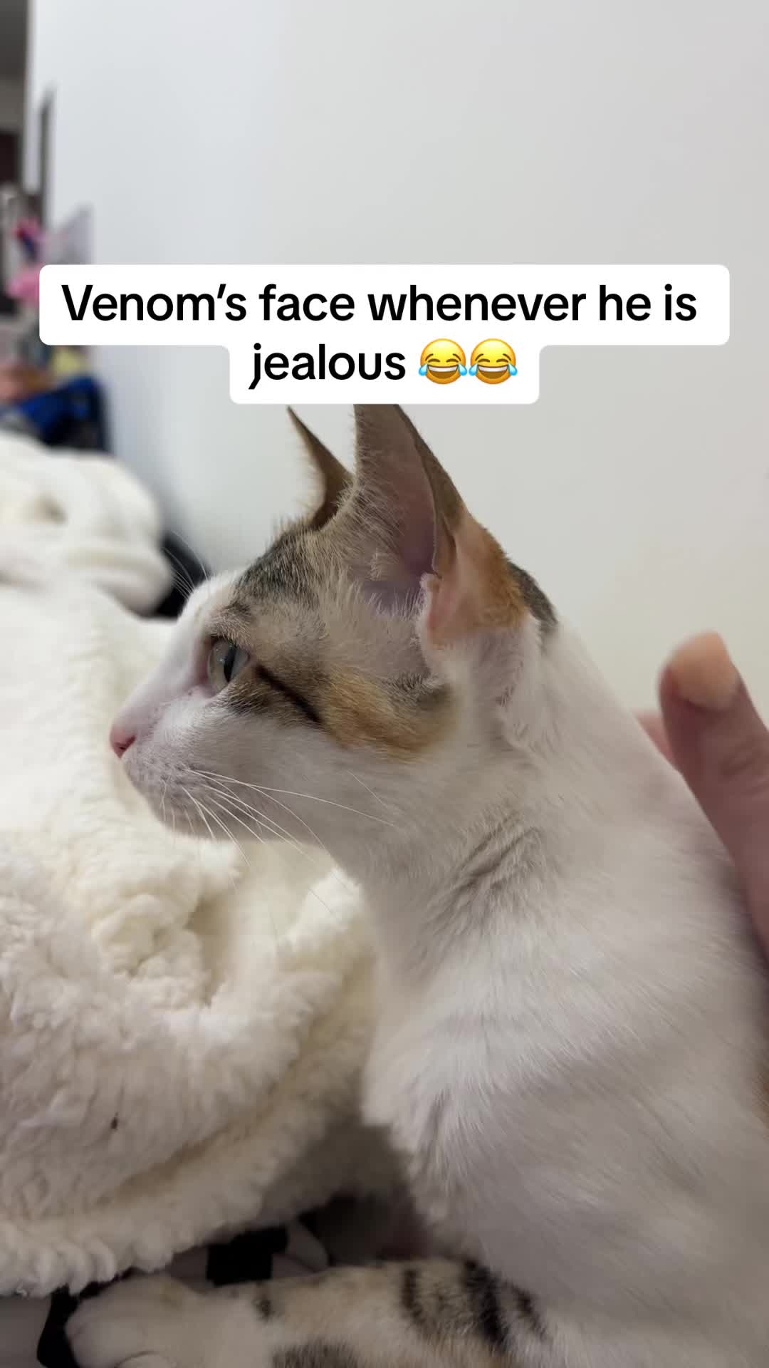 @Chiqui Tala Venom