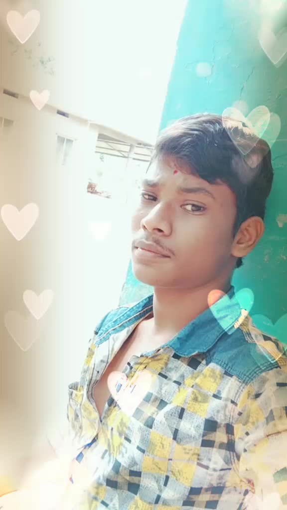@papuuser861640