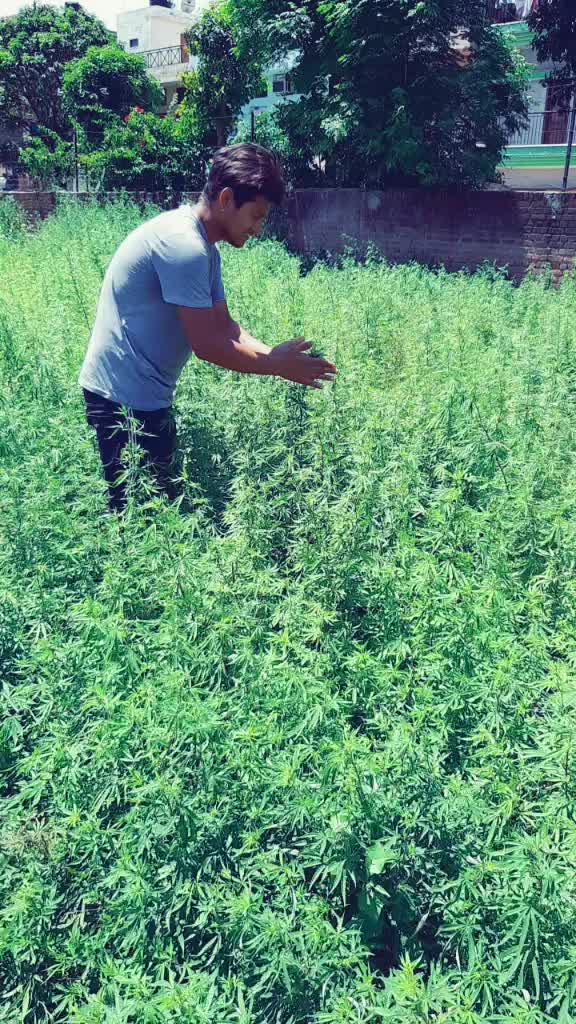 @Rohit Daney