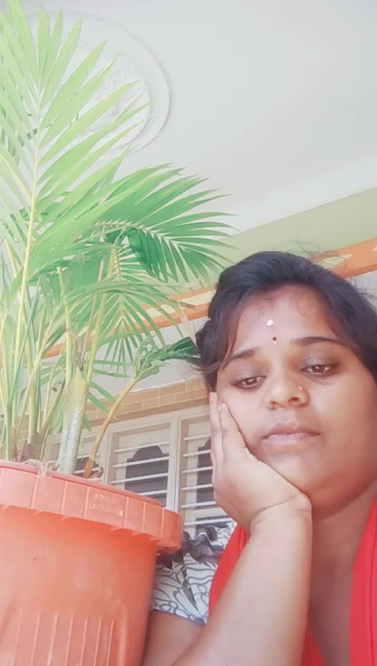 @user4296062737864