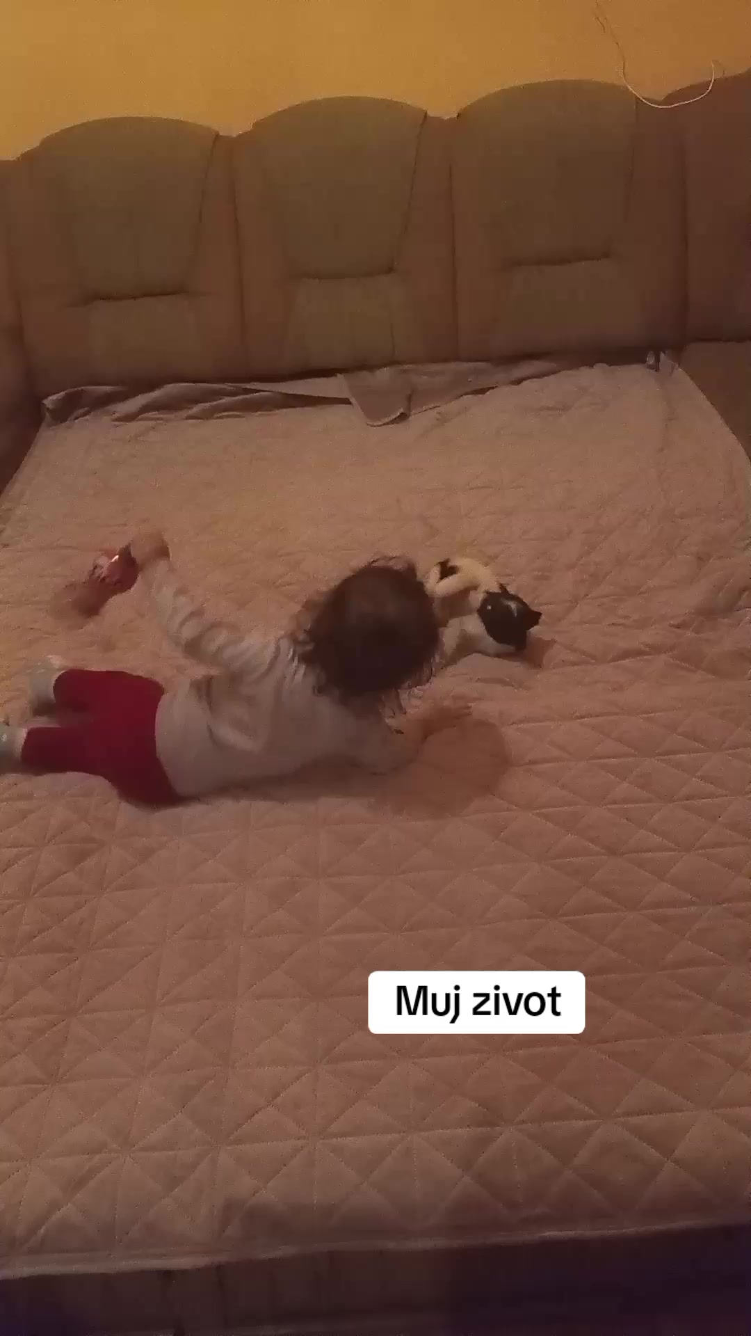 @Zuzana Tancosova