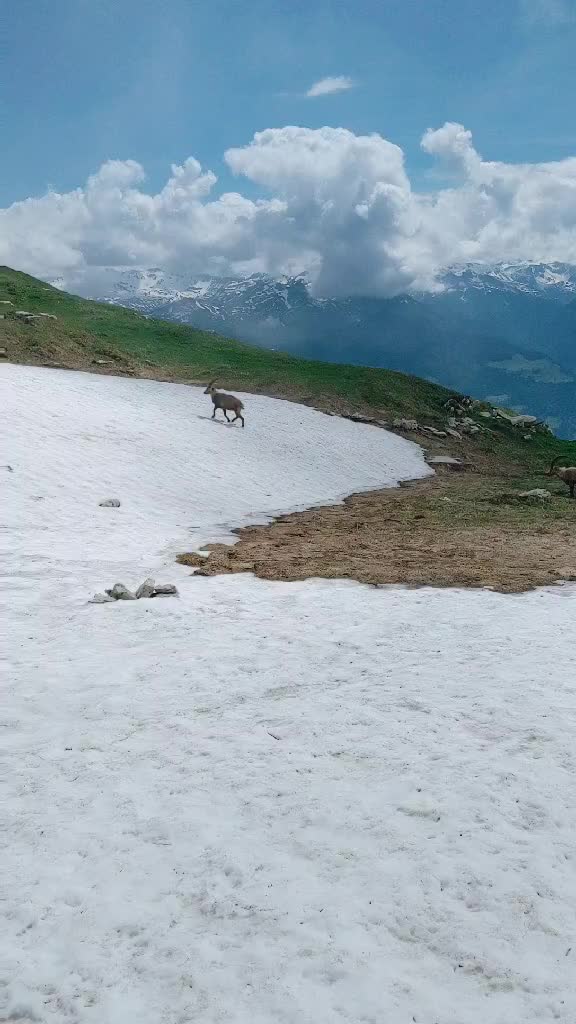 @user2993107742425