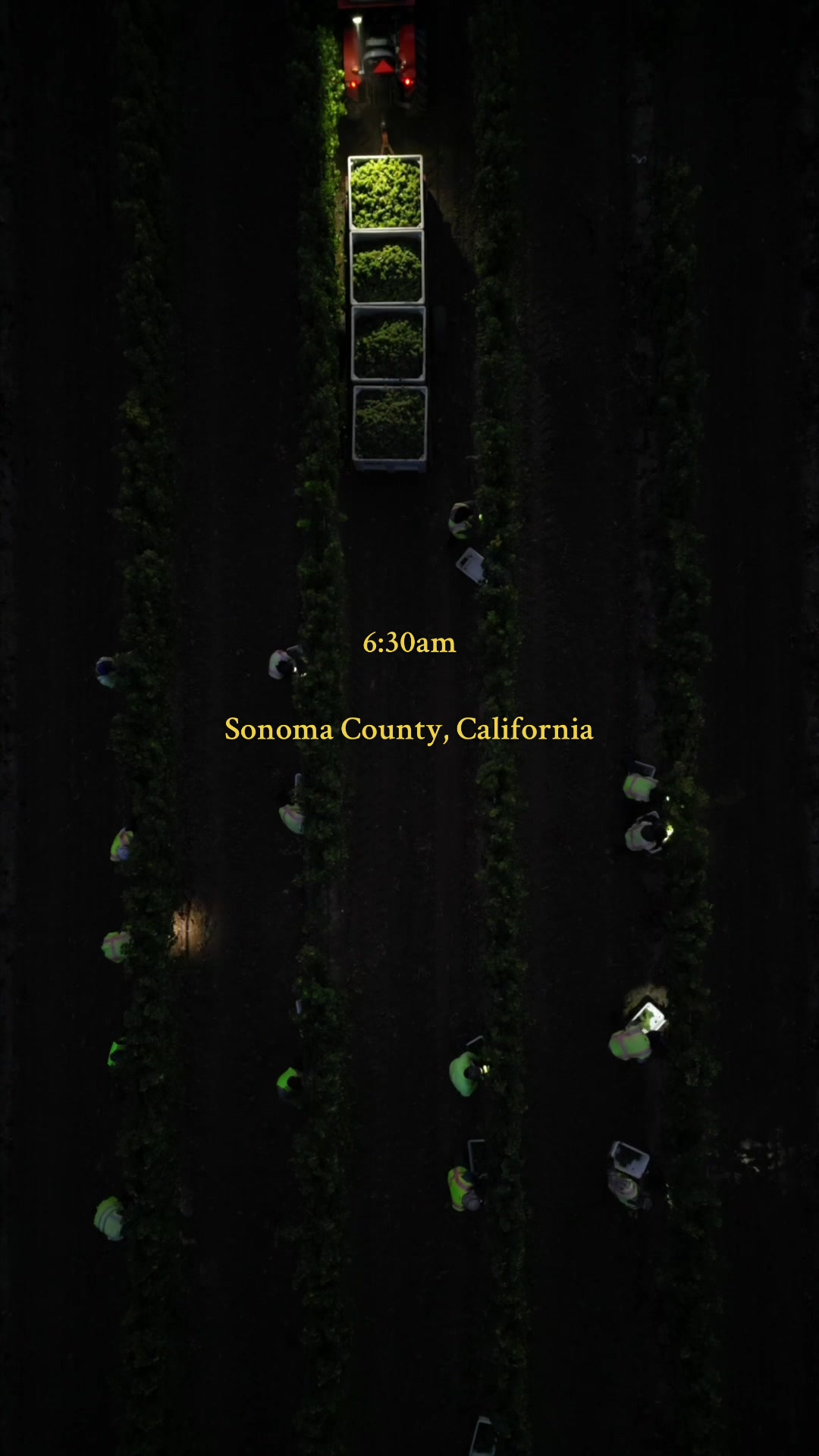 @WineCountryDrone