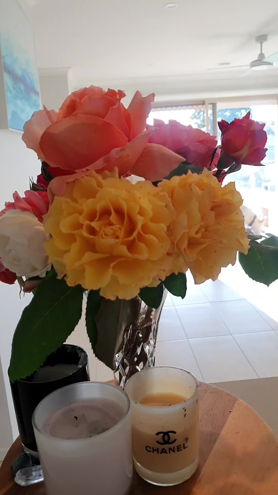 @TaniaCooper100