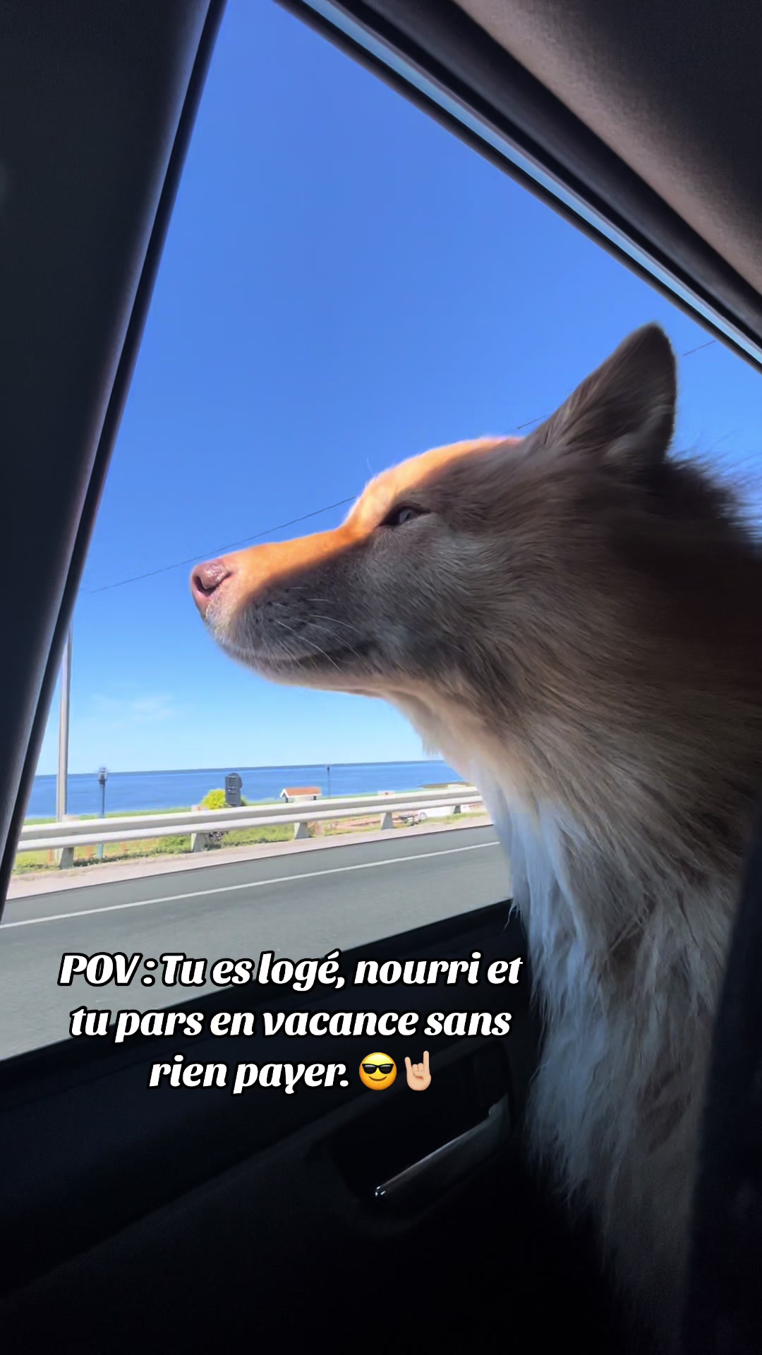 @Noume
