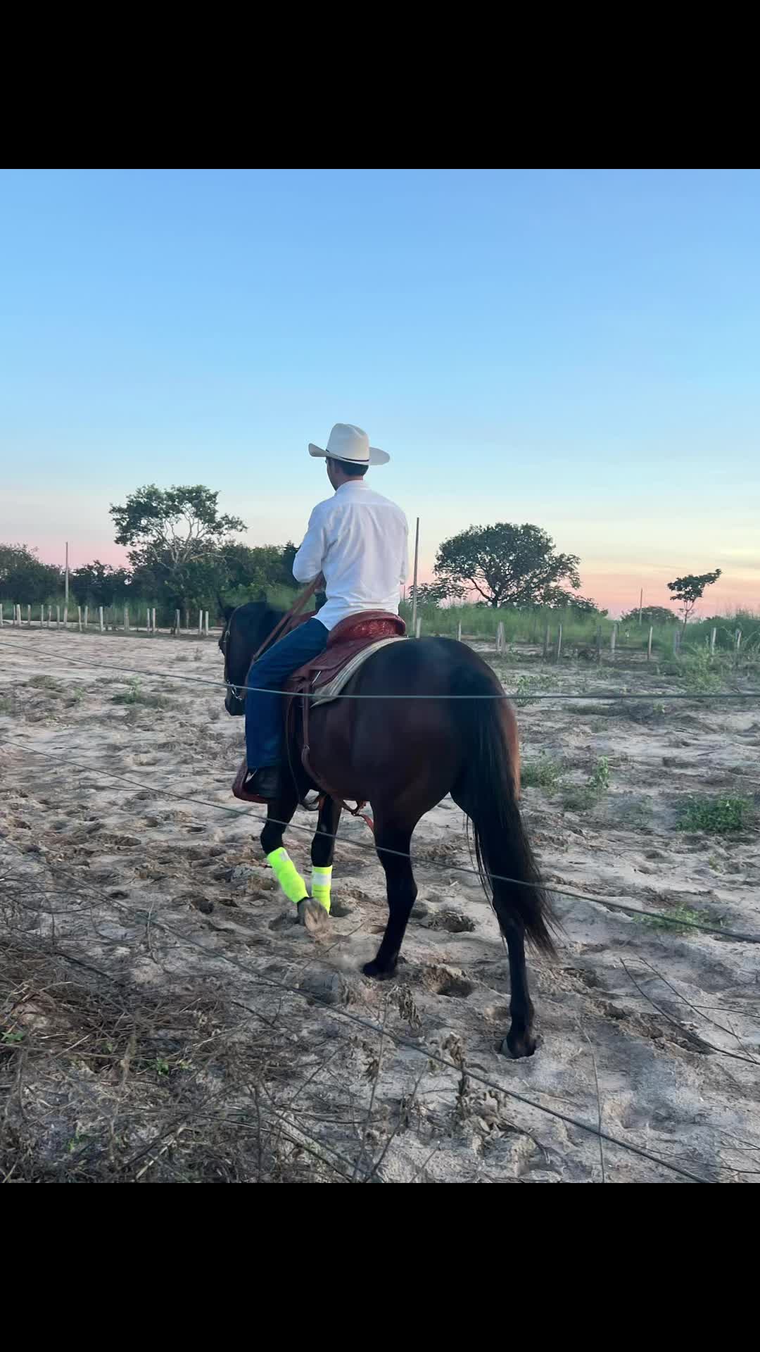 @gilbertodiasjr