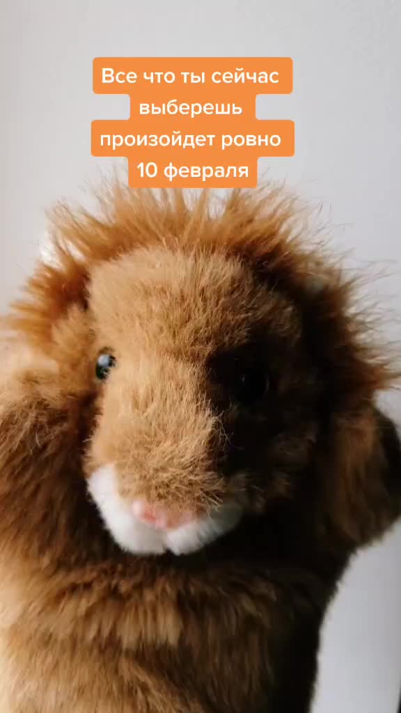 @Львенок Симба