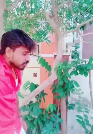 @kanyakumari pasanga