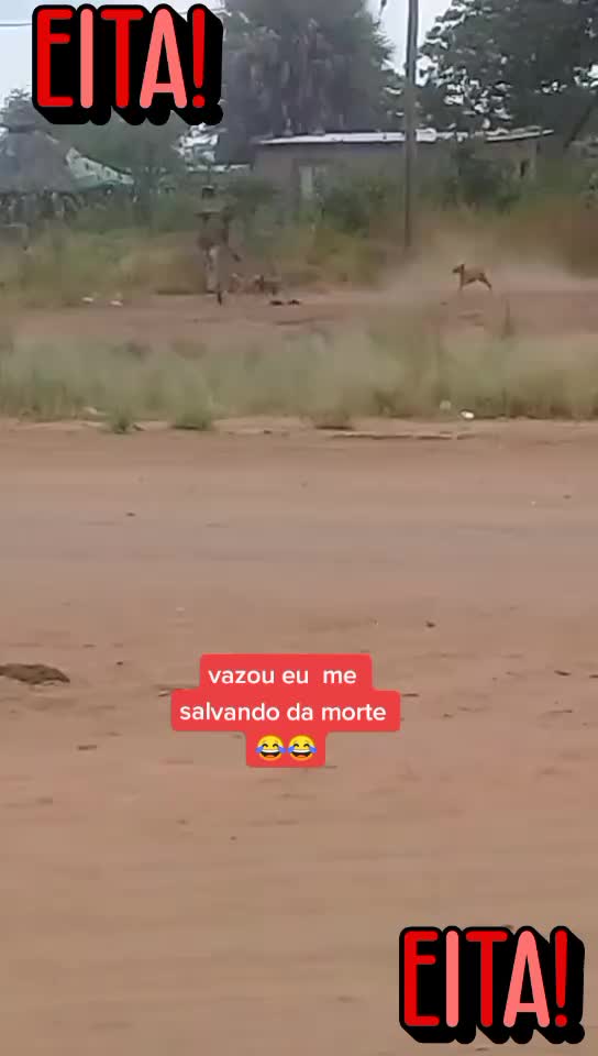 @elly cardoso