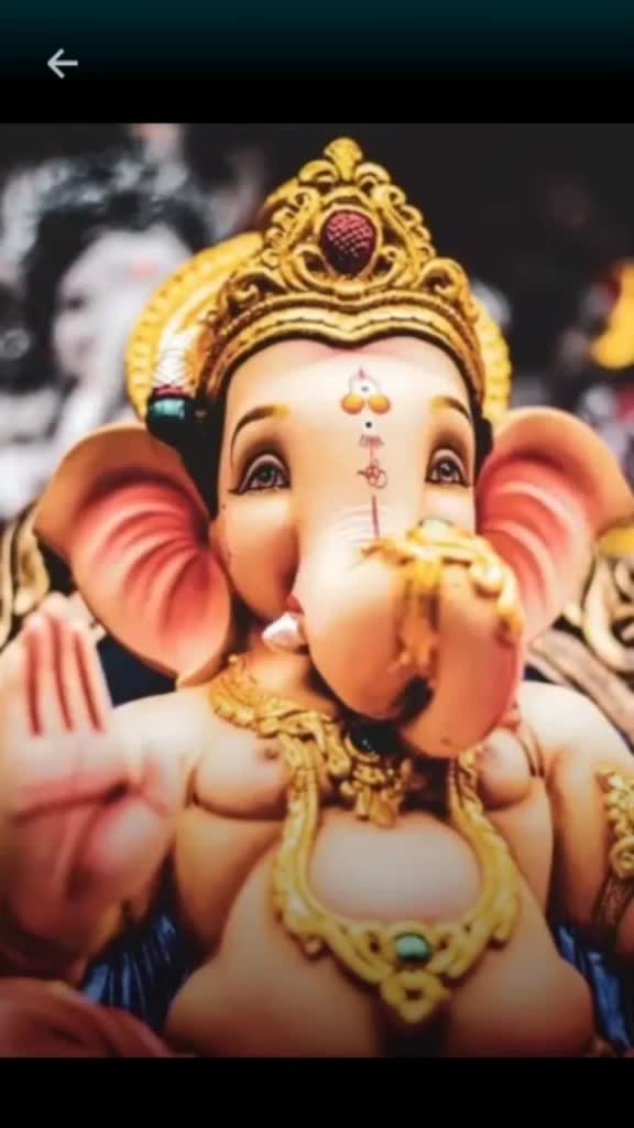 @R🦁PRAVEEN🦁
