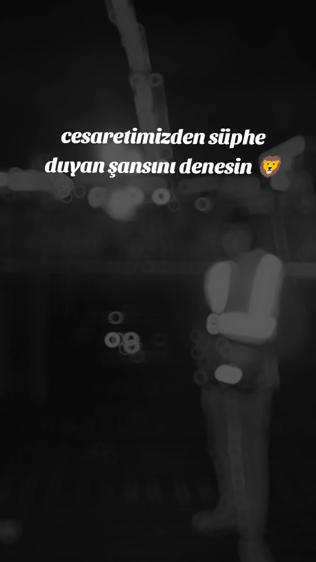 @Kadir Öz