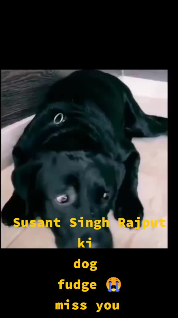 @@Tapas