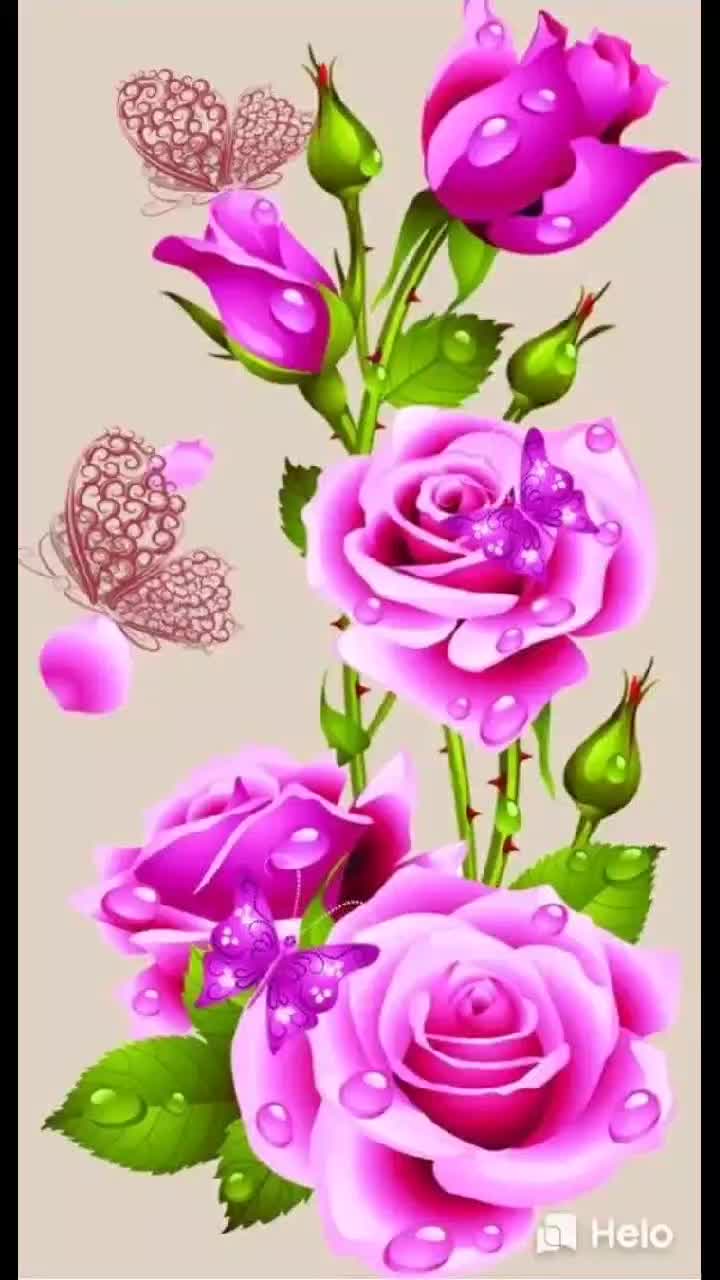 @user8118774051663