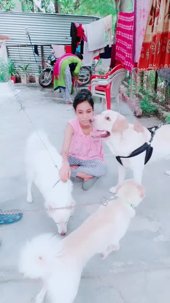 @soni