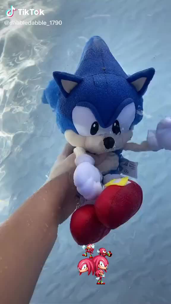 @Sonic the hedgehog