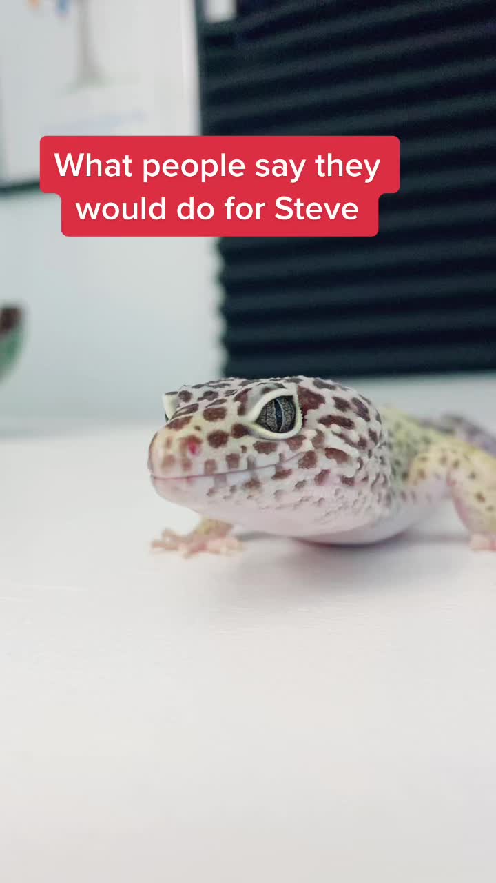 @Steve