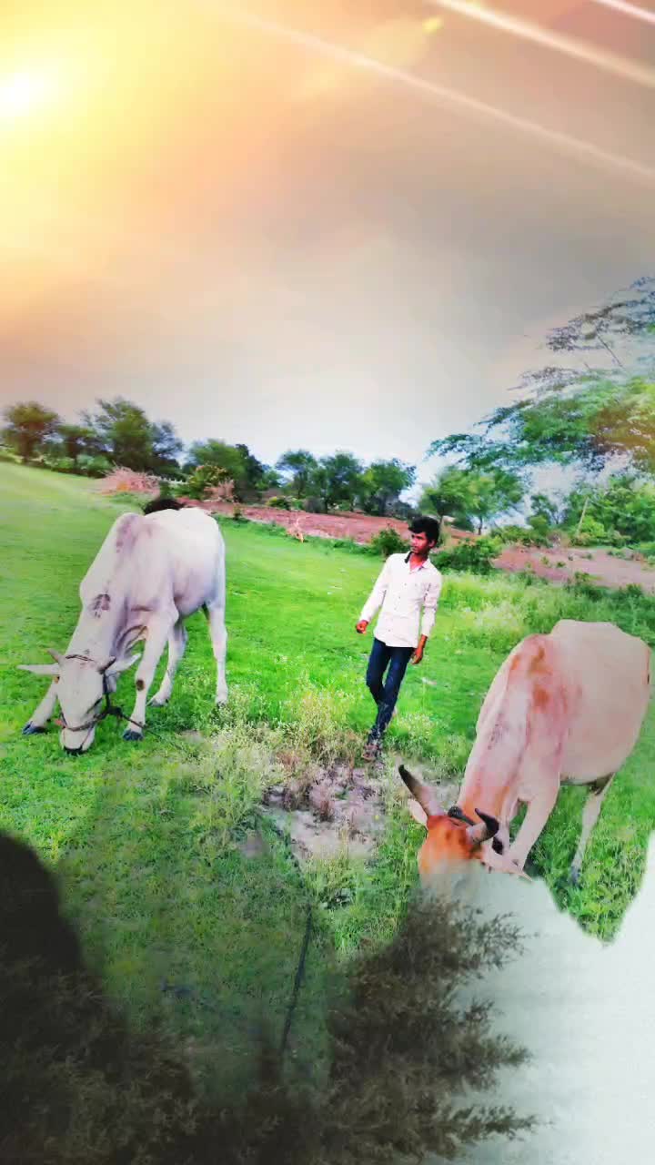 @Aravind yadav