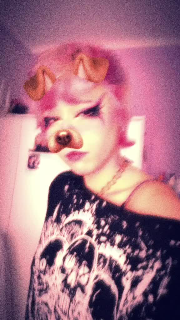 @the_last_meow