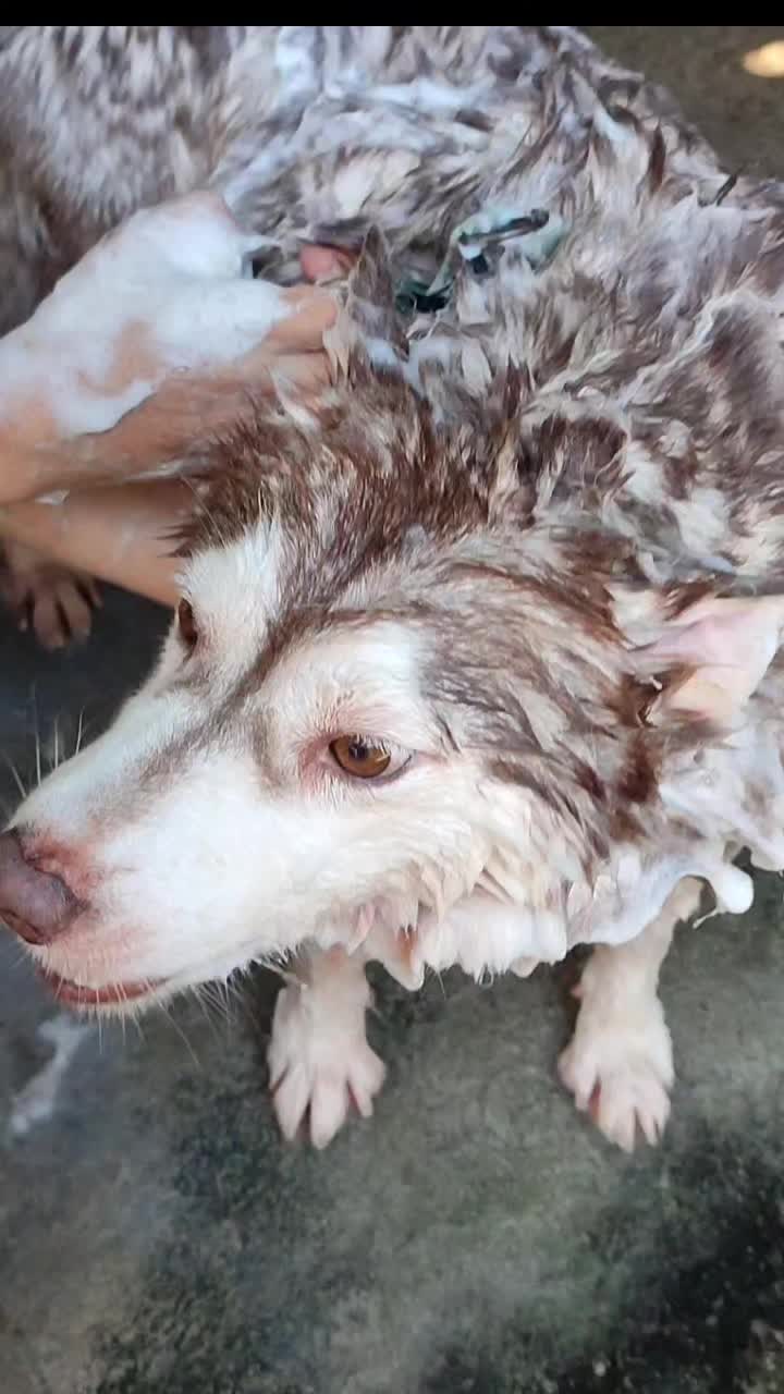@Furmama
