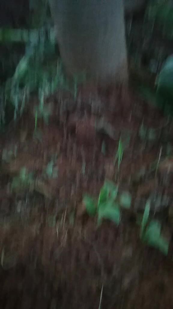 @Mamatha Mamatha