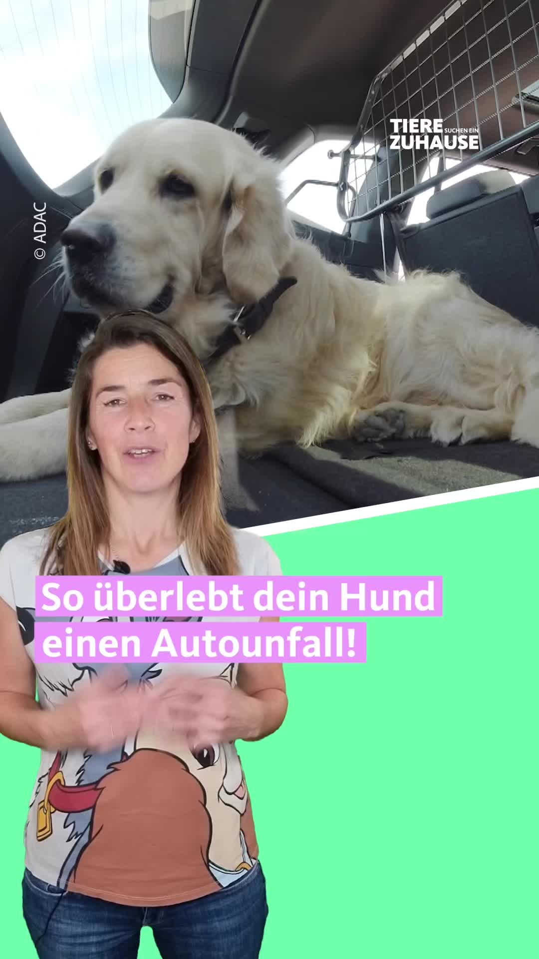 @Tiere suchen ein Zuhause