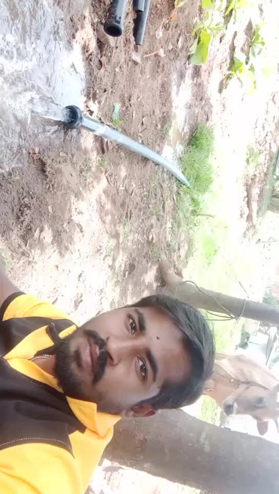 @praveena m