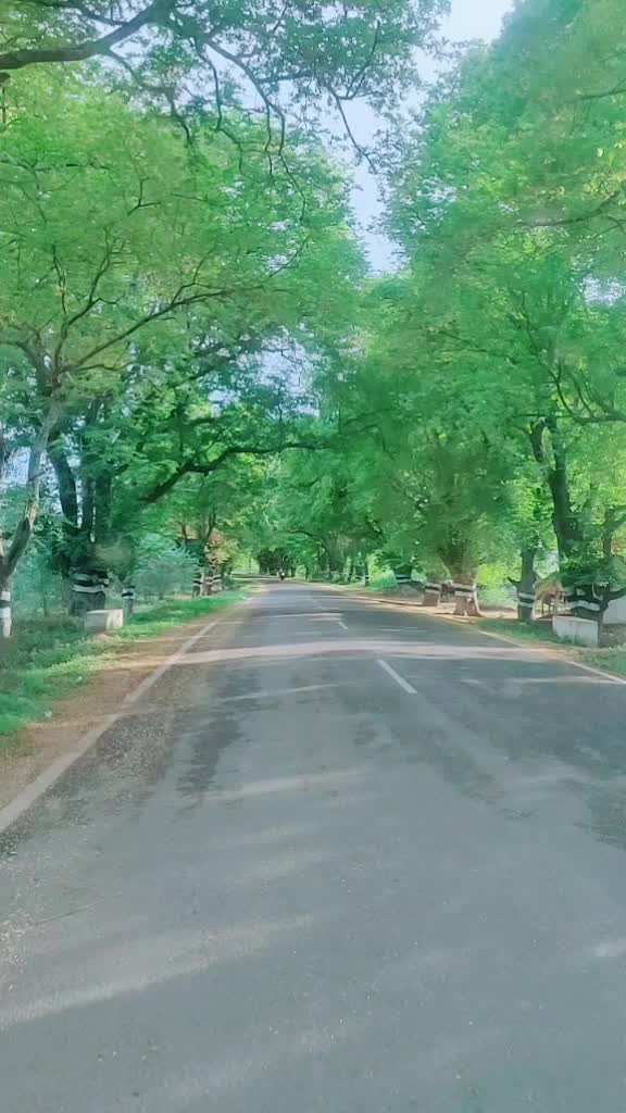@தனிமையின் காதலன் 🖤