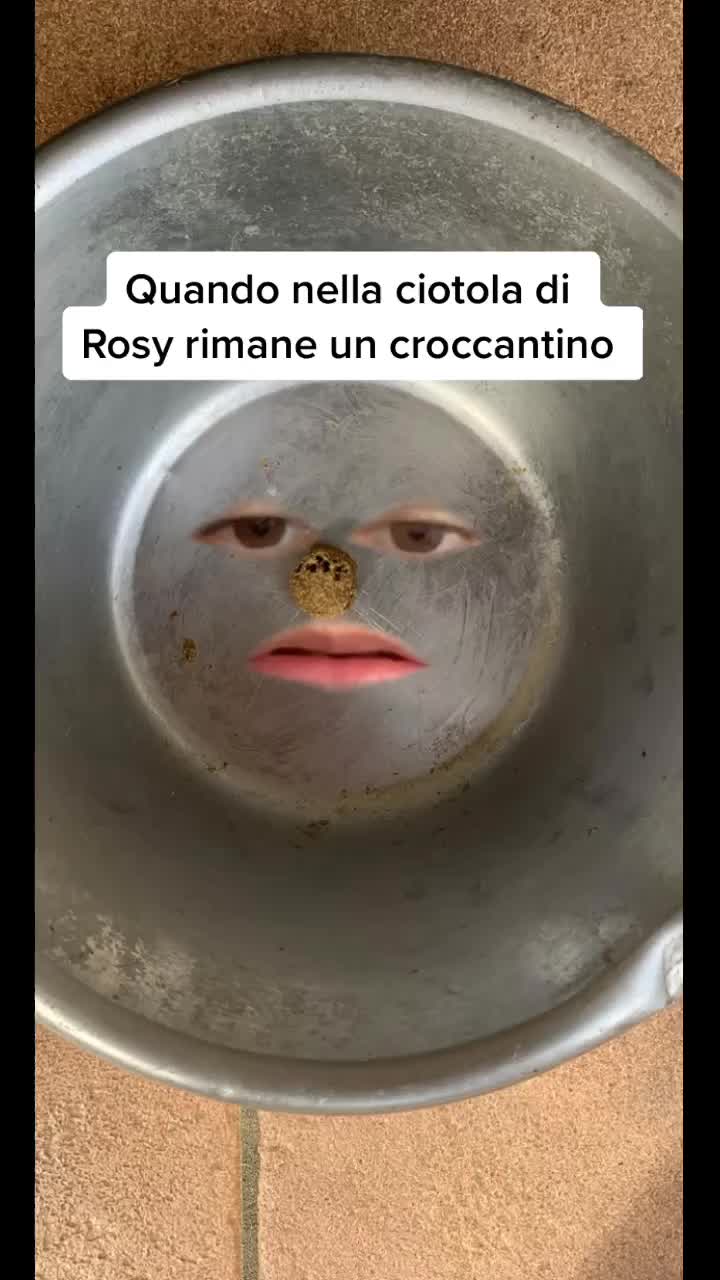 @sonorosy🐶