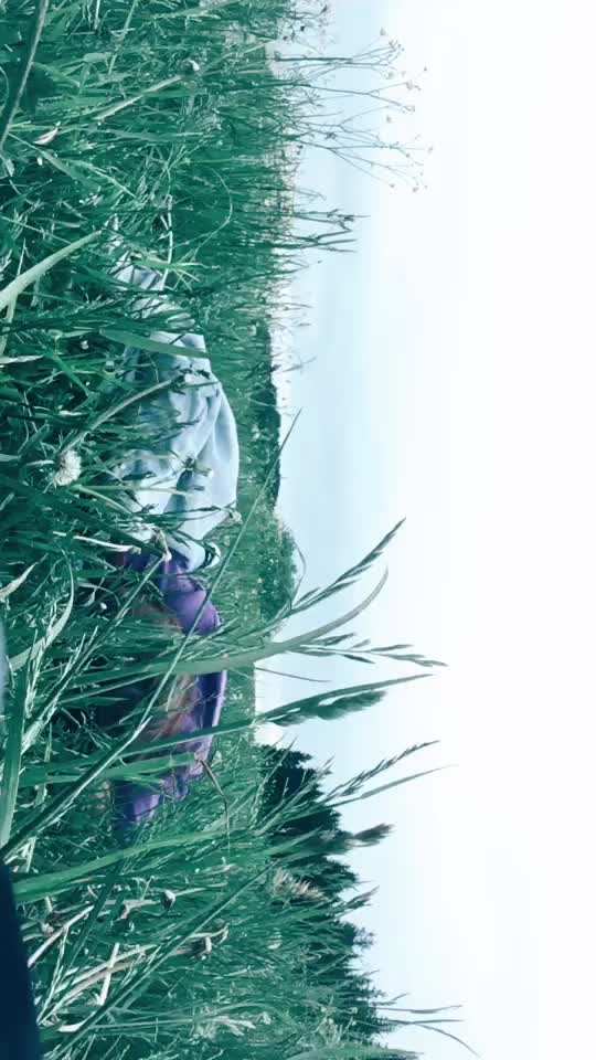 @Сочник💦