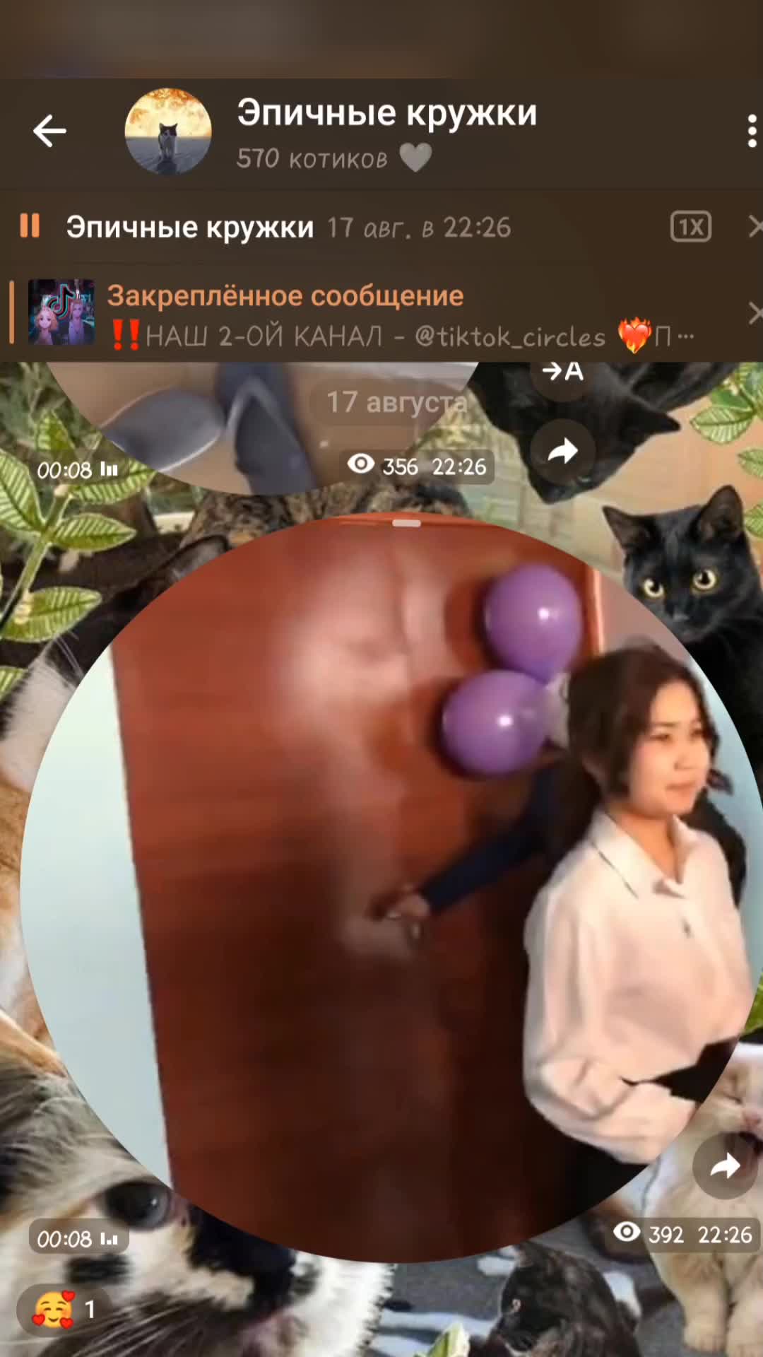 @тгк: эпичные кружки