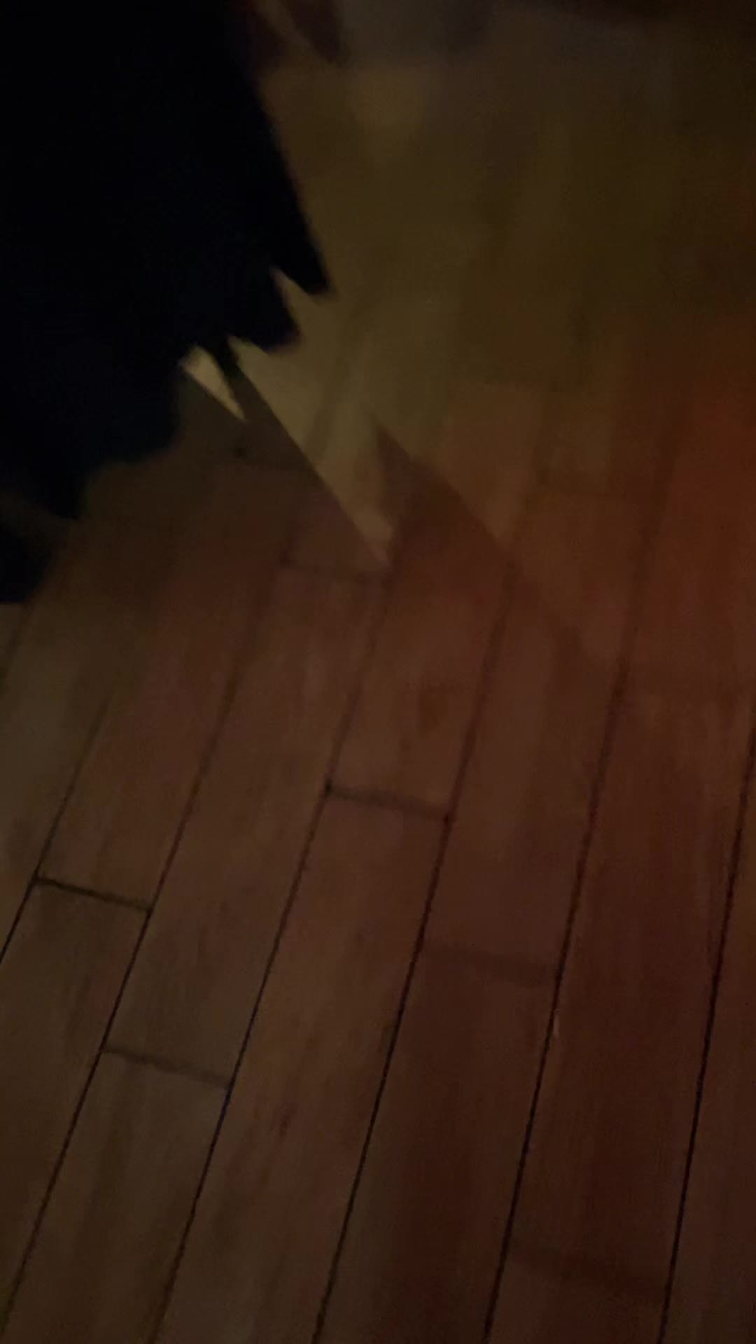 @Litlenayaboo