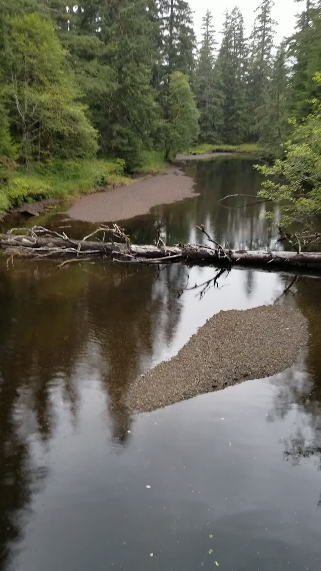 @Alaska's jim stone living wild