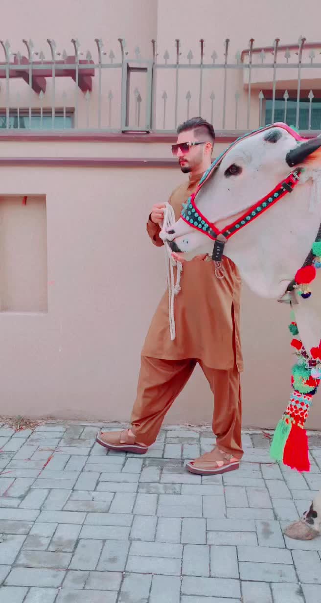 @Hassan Khan Official