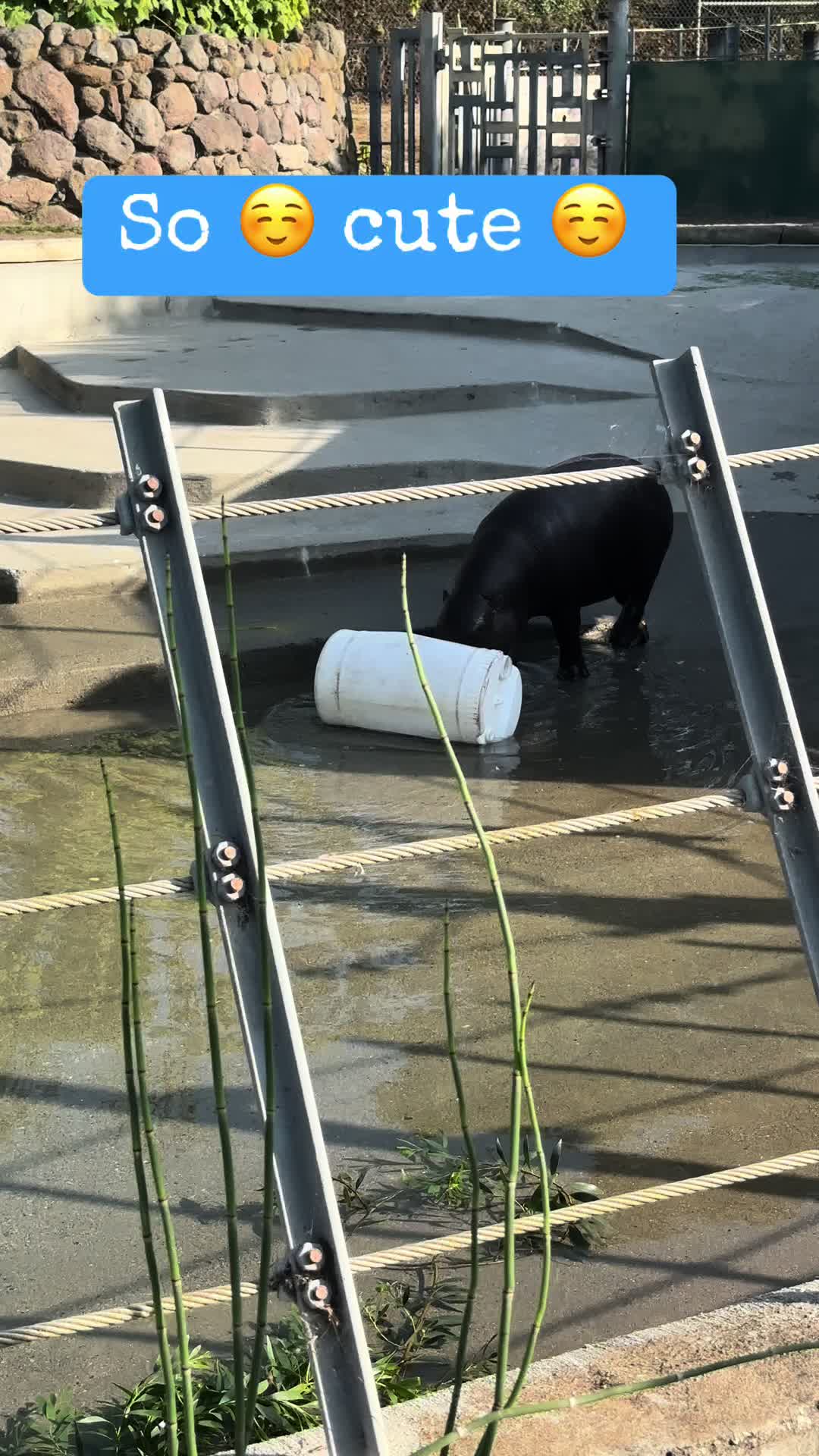 @Bessie.Diosa
