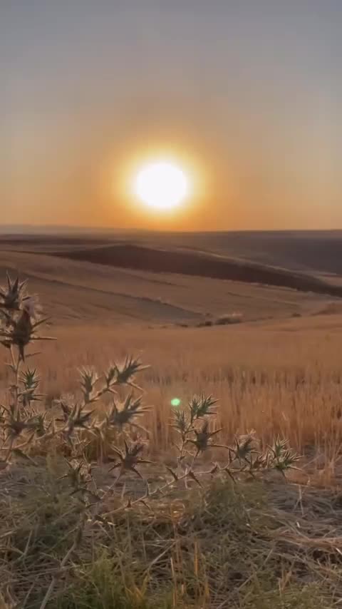 @Alim Albayrak