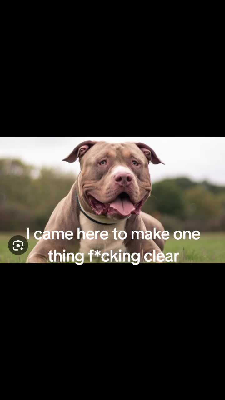 @SAVE THE XL BULLYS